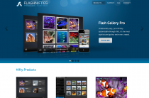 Flashnifties